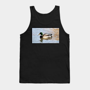 A Male Mallard Duck Swimming Tank Top